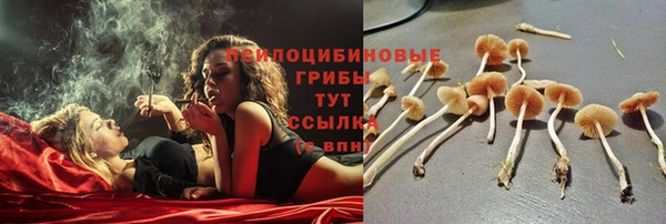 твердый Аркадак